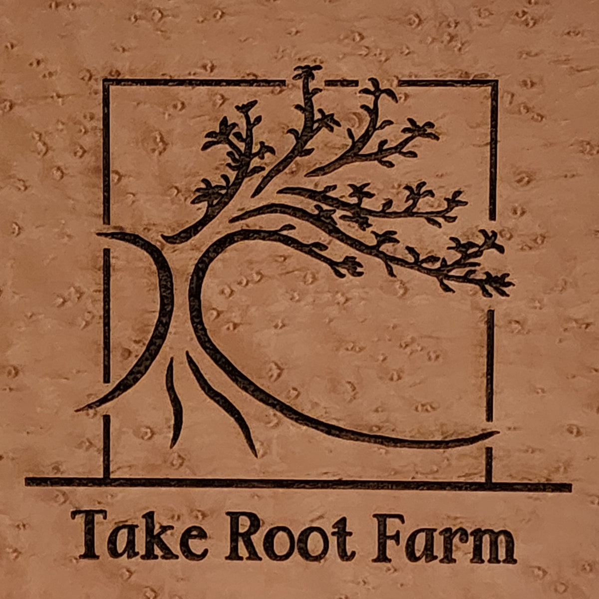 Take Root Farm